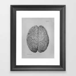 Anatomical Brain Framed Art Print
