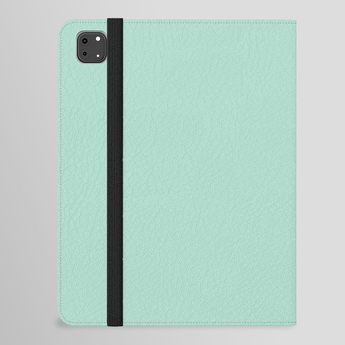Light Aqua Green Solid Color Pantone Brook Green 13-6009 TCX Shades of Blue-green Hues iPad Folio Case