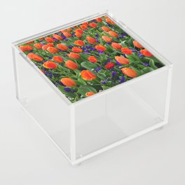 Tulip Field Acrylic Box