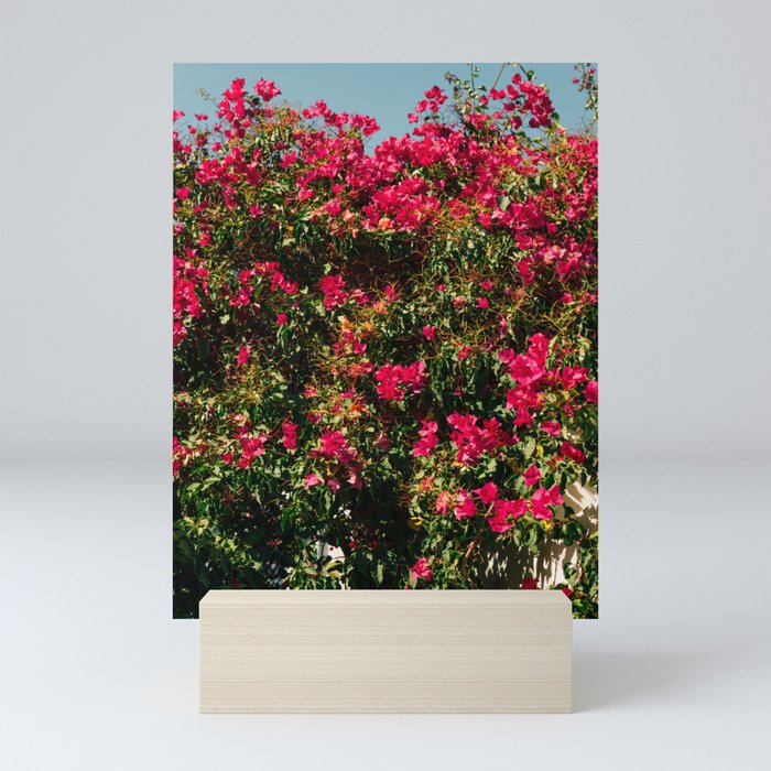 Vintage Flower Festival | Pink Flowers in Bush | Nature & Travel Photography Mini Art Print
