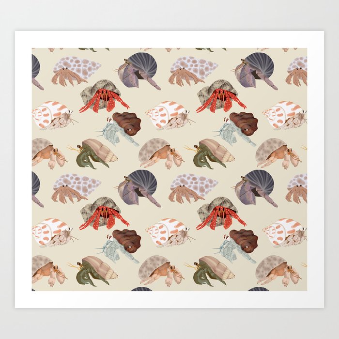 Hermit Crabs Art Print
