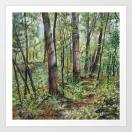Forest Woodland Landscape Art Print