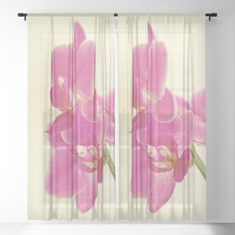 Pink Orchid Sheer Curtain