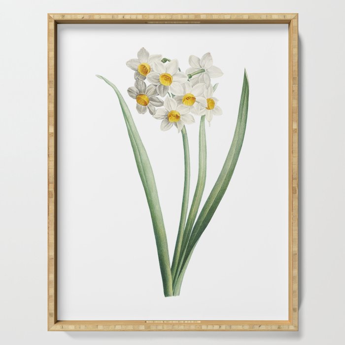 Vintage Narcissus Easter Flower Botanical Illustration on Pure White Serving Tray