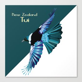 New Zealand Birds - The Tui Canvas Print