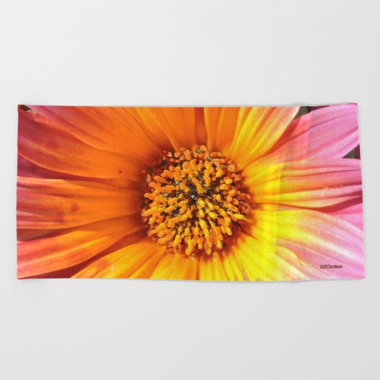 A March 1st Colorburst Beach Towel