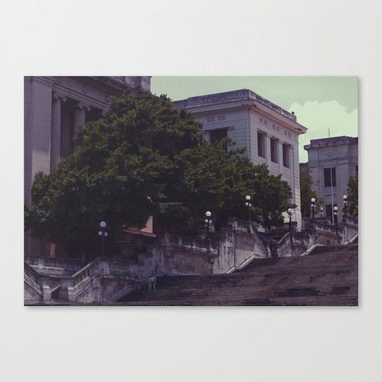 tree Canvas Print