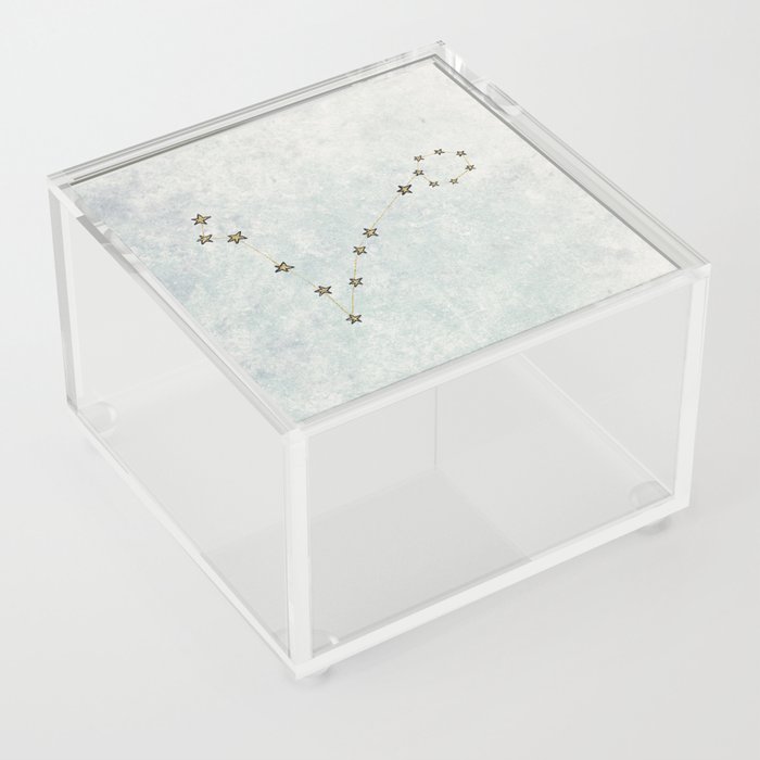 Pisces x Astrology x Zodiac Acrylic Box