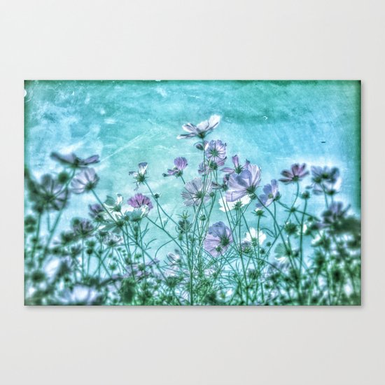Cosmea Ocean Heaven Canvas Print