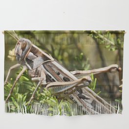 South Africa Photography - Insect In The Wilderness Wall Hanging