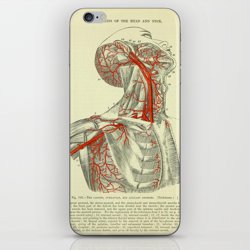 Arteries Of The Upper Body Iphone Skin By Jackshoegazer Society6