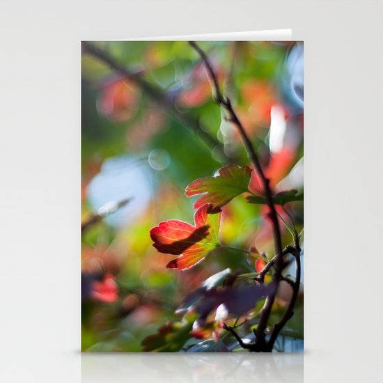 Autumn Rainbow Stationery Cards