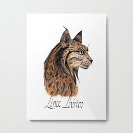 Iberian Lynx Profile Metal Print