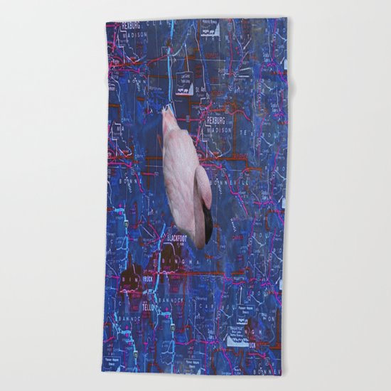 Swimming In A False Idaho Beach Towel