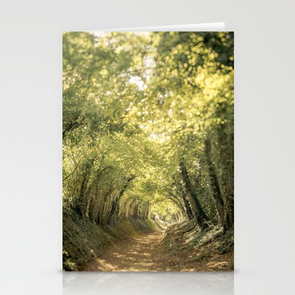 Tunnel of Trees Summer Series #3 Stationery Cards