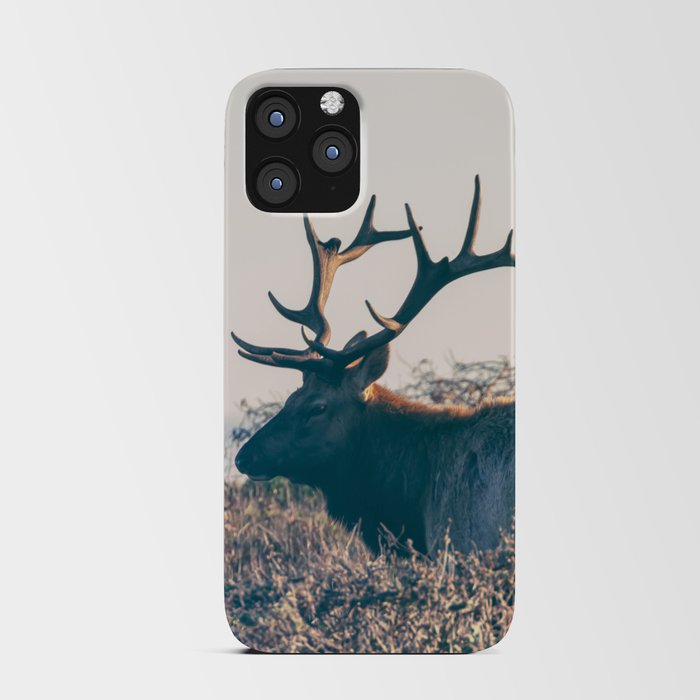 Grace Bull iPhone Card Case