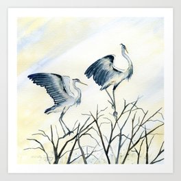 Couple of Great Blue Heron Art Print
