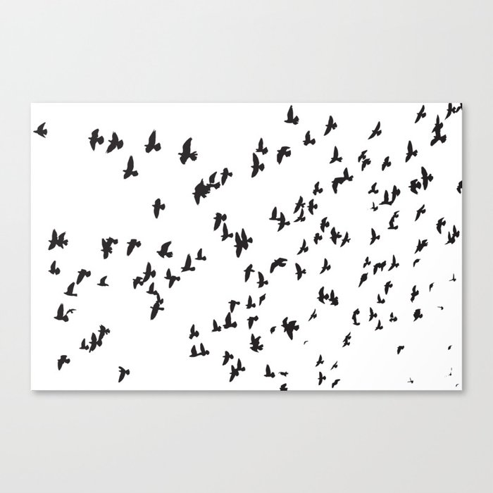 Happy Birds Canvas Print
