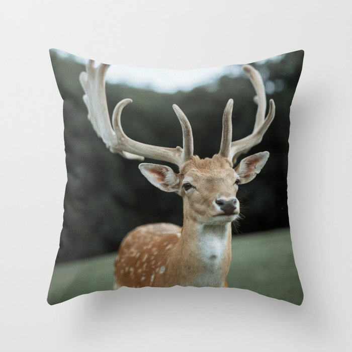 Throw pillows with sale deer on them