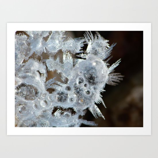 ice XVII Art Print
