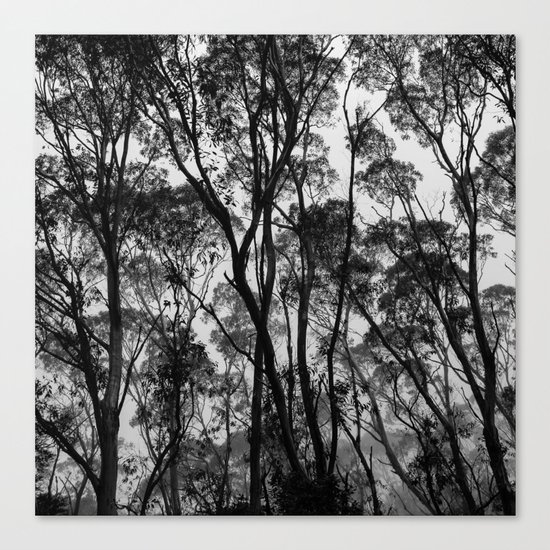 Forest Silhouette Canvas Print