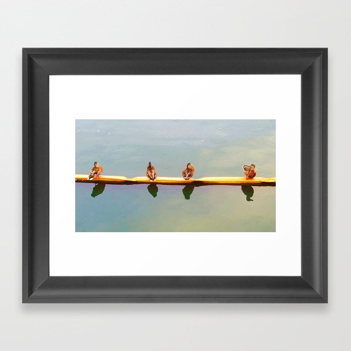 Ducks in a Row Framed Art Print