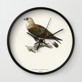 Rough-legged Hawk (TRIORCHIS LAGOPUS) illustrated by the von Wright brothers Wall Clock