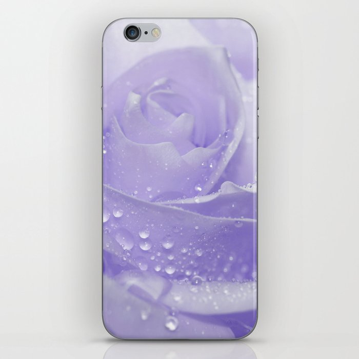 Rose with Drops 085 iPhone Skin