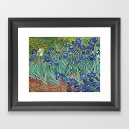 Irises, Van Gogh Framed Art Print