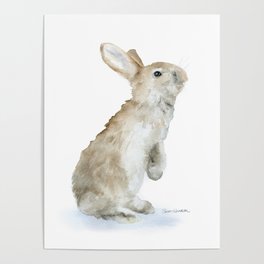 Bunny Rabbit Watercolor Poster