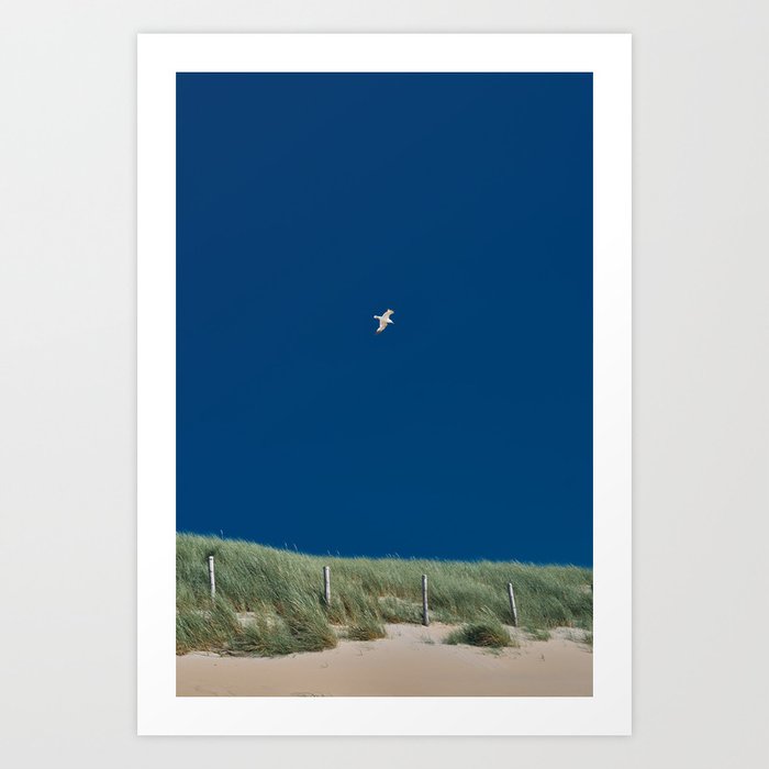 Lonely seagull in blue sky | Bloemendaal aan Zee, The Netherlands | nature photography Art Print