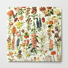 French Vintage Flowers Chart Adolphe Millot Fleurs Larousse Pour Tous Poster  Metal Print | Countryside, Botanical, Vintage, Floral, Cottagecore, Trendy, Fleur, Flower, Pattern, Herbarium 