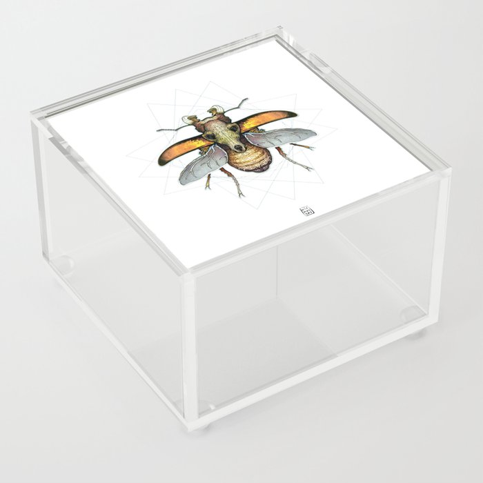 Lucanus Cervus [white] Acrylic Box
