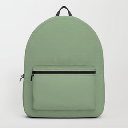 Solid Color SAGE GREEN  Backpack