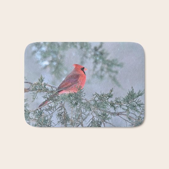 Sleet Cardinal Bath Mat