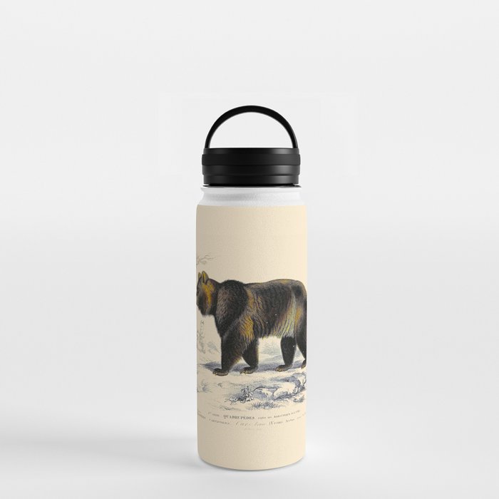 Vintage Grizzly Bear Water Bottle