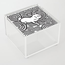 chaotic bunny spiral swirls design Acrylic Box