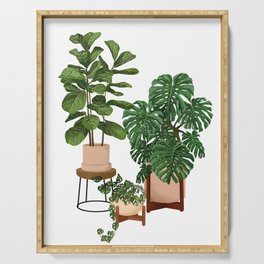 House Plants Illustration 28 Serving Tray | Plantcollection, Basket, Digital, Botany, Crazyplantlady, Painting, Houseplant, Plantlife, Botanical, Pottedjungle 