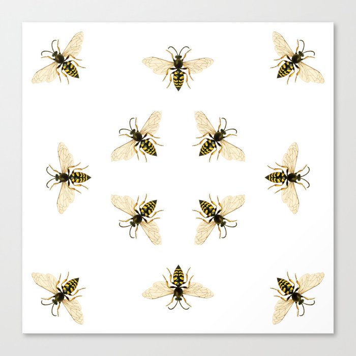 Wood Wasp Canvas Print