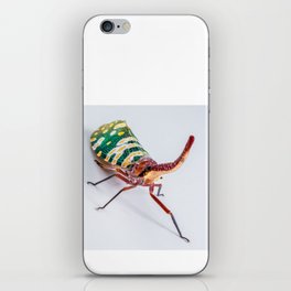 Long Nosed Cicada. iPhone Skin