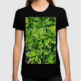 Leaves Abstract T-shirt