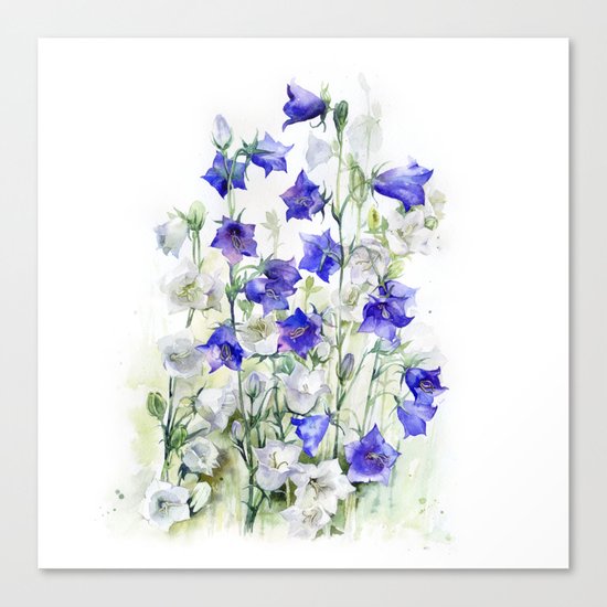 Bluebells watercolor flowers, aquarelle bellflowers Canvas Print