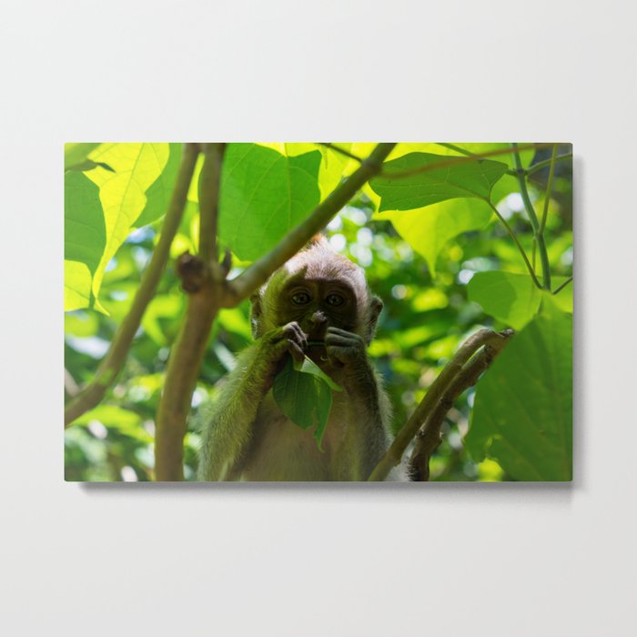 Under the Canopy Metal Print