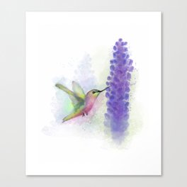 Hummingbird and Salvia Watercolour Painting Canvas Print