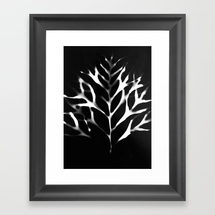 Grevillea Leaf Photogram Framed Art Print