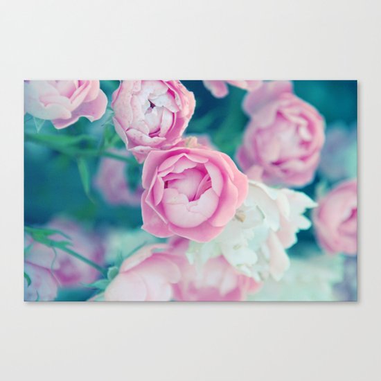 Miss Rose Canvas Print