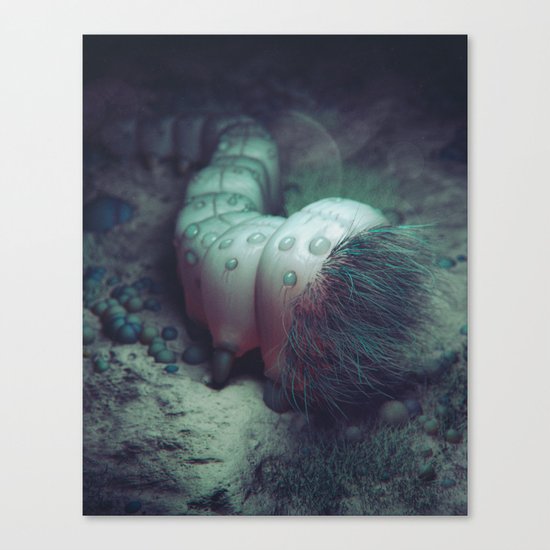 PARACYTE (everyday 08.03.16) Canvas Print