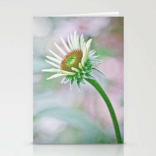 pastel Stationery Cards