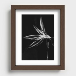 Delicate Flower Photogram Recessed Framed Print