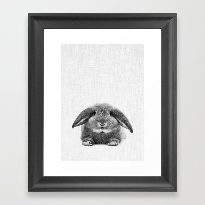 Bunny rabbit sitting Framed Art Print